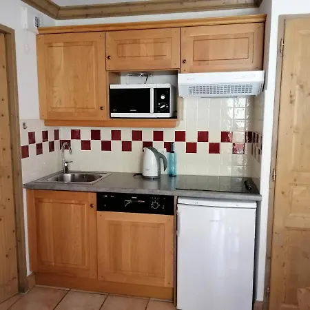 Apartment De 2 Pieces Au Pied Des Pistes Avec Parking Prive - Fr-1-557-25 *